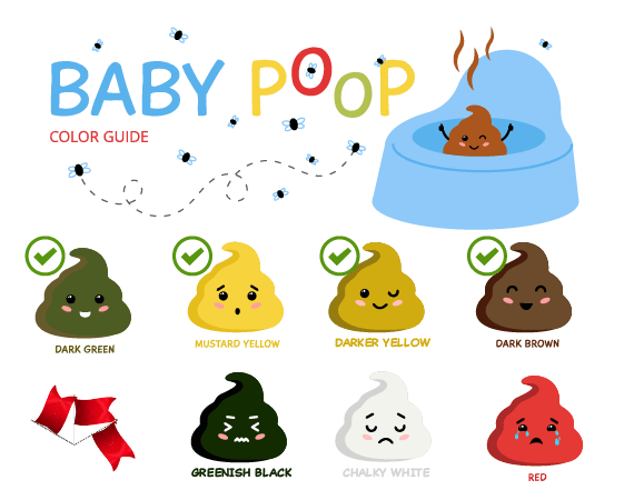 Infant Poop