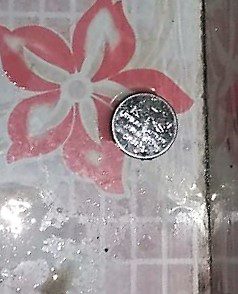 Retrieved Button Battery